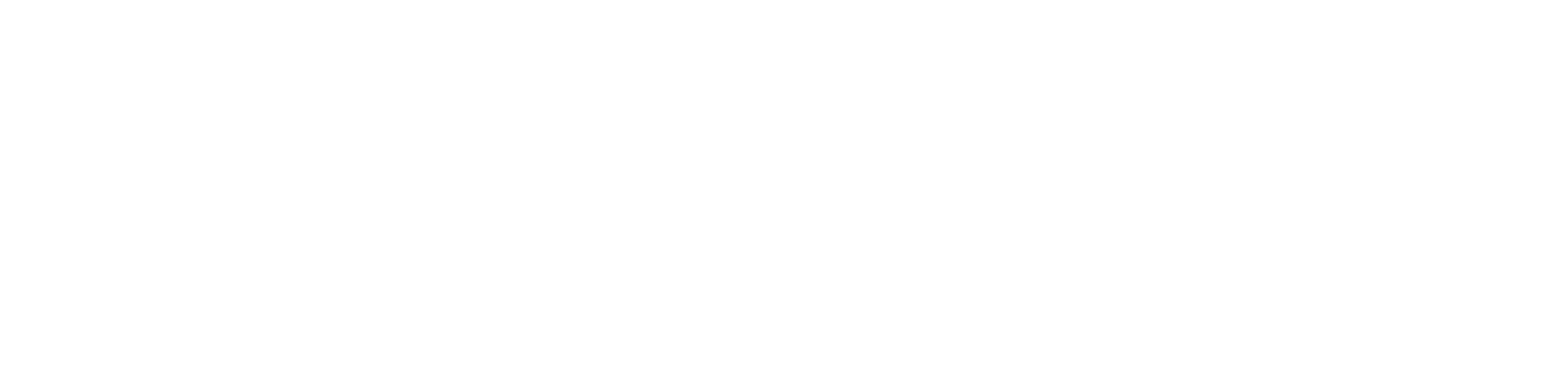 P0TECH